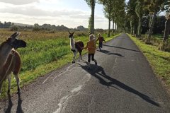 IMG_20221011_160420