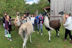 w1200_h889_x600_y444_Lama-PA-866f12131dfdaf33